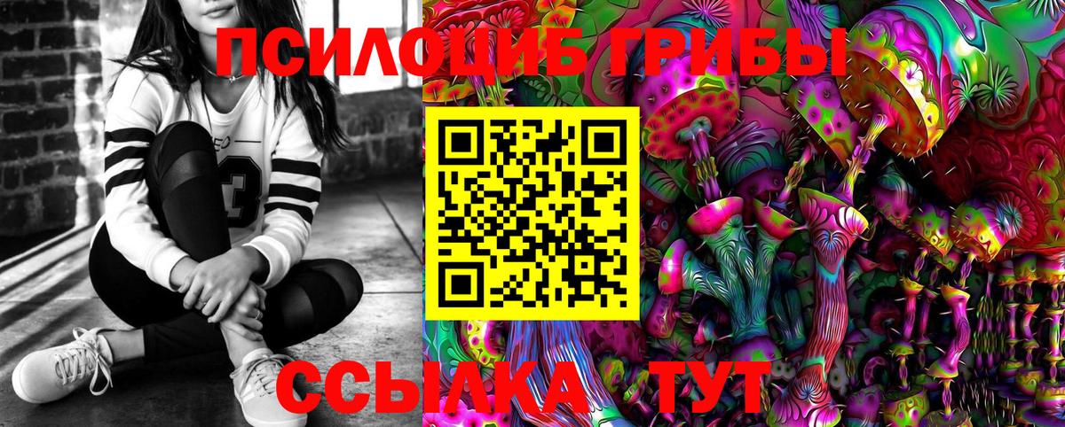 где можно купить   Галлюциногенные грибы Magic Shrooms  Вход с VPN  Елец 